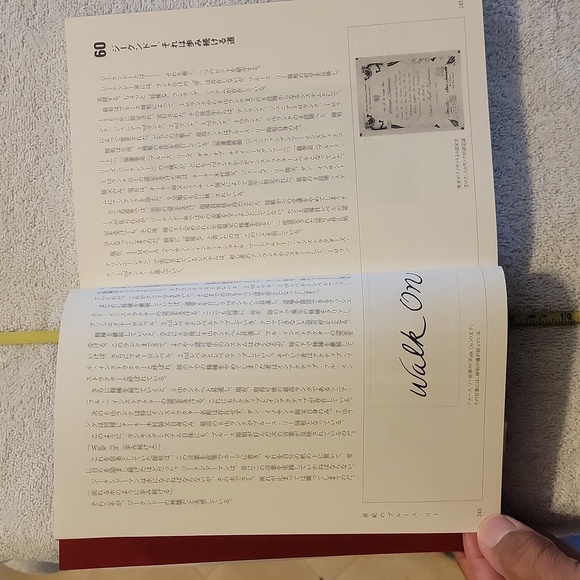 The Legend of Bruce Lee - Picture 5 of 16